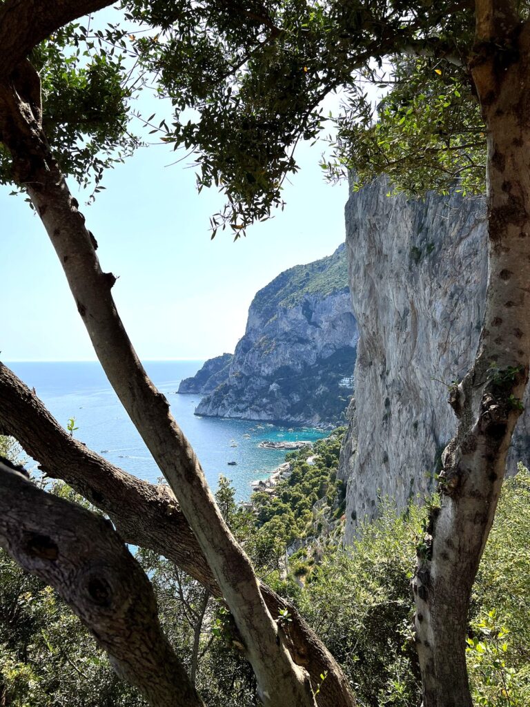 Faraglioni sea rocks and cliffs from the Gardens of Augustus in Capri