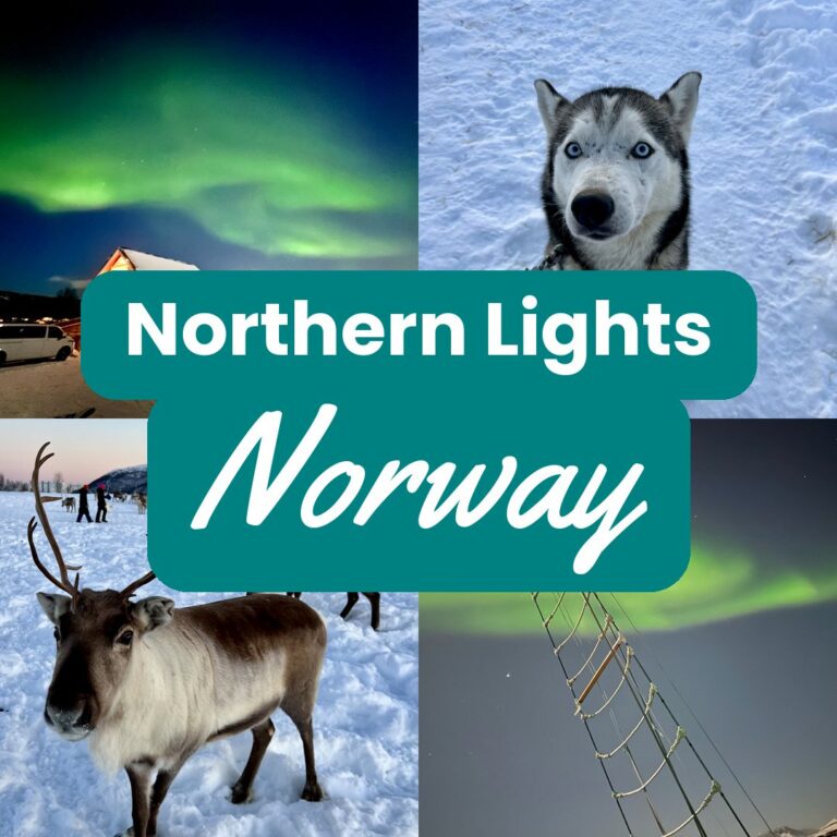 Norway northern lights guide collage — aurora over the Senja observatory, a husky, a reindeer, and the aurora from an Arctic cruise