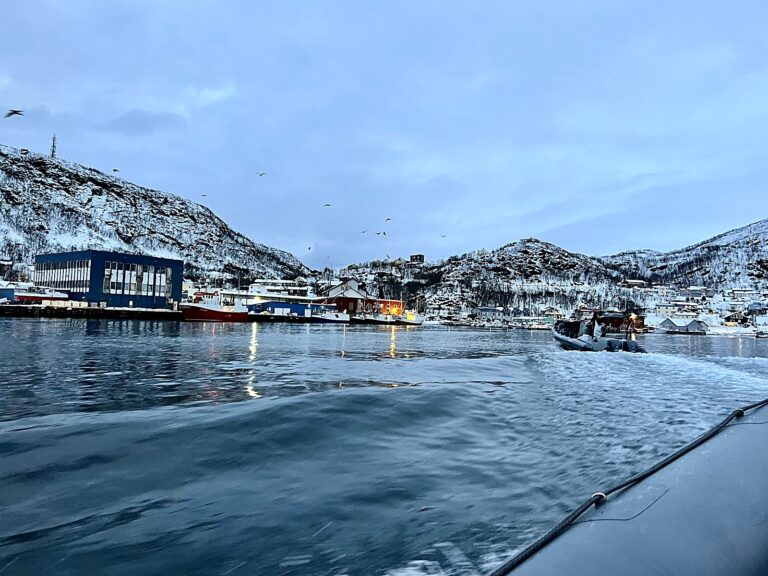 Tromsø harbor with boats and snow-covered mountains in winter blue light
