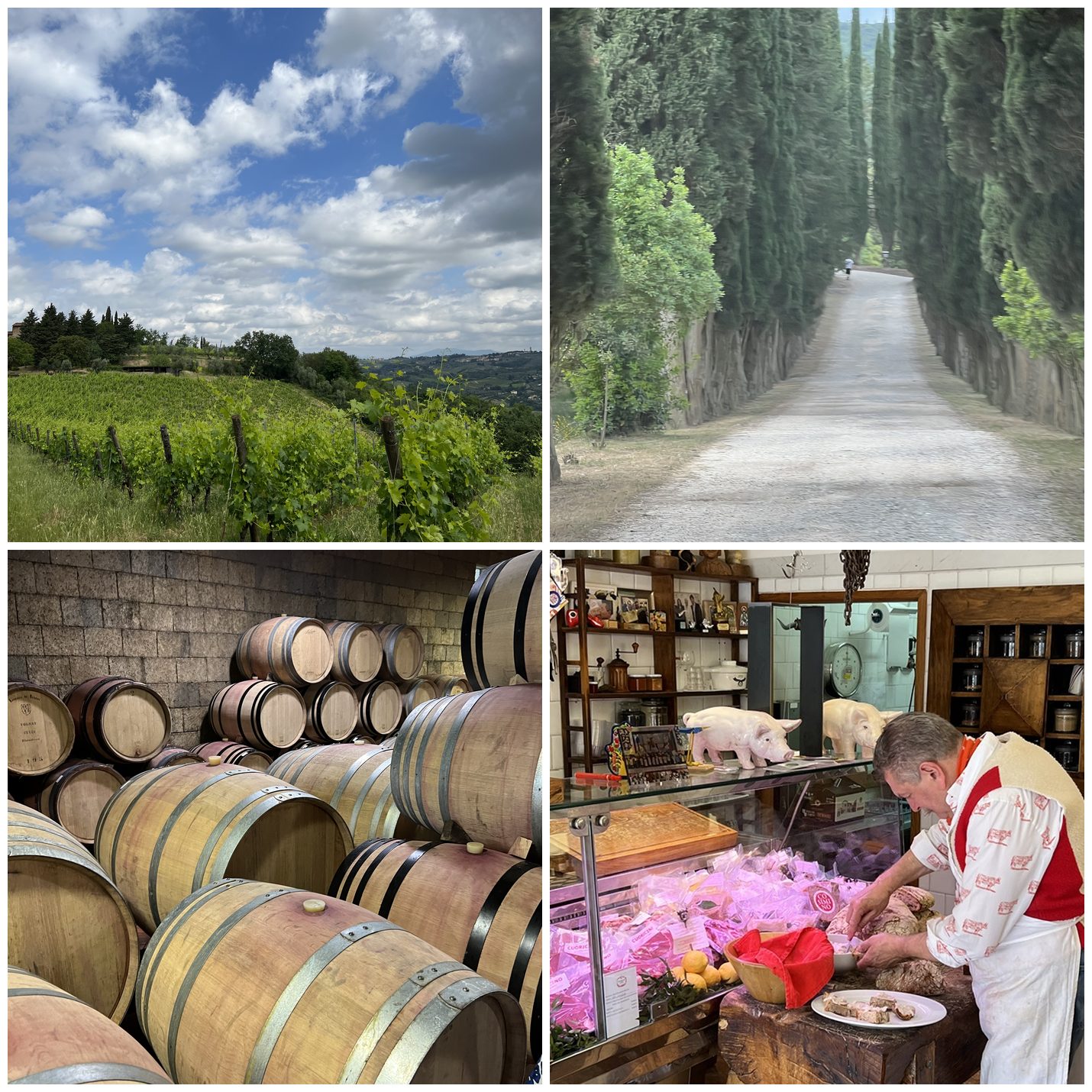 A collage of day trips from Florence: Tuscan vineyards, a cypress road, a wine barrel cellar, and the Dario Cecchini butcher shop